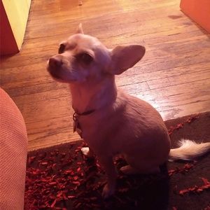 Meet your Posher, Jill